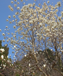 DSC012291.jpg